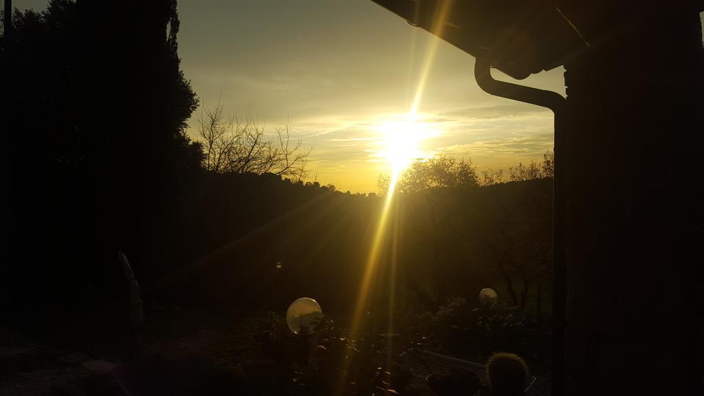 Agriristoro Podere S. Andrea มัสซามาริตติมา ภายนอก รูปภาพ