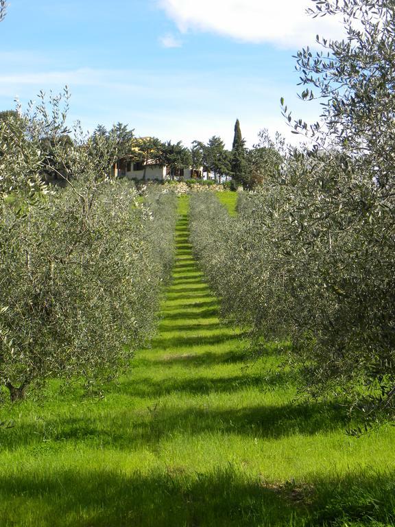 Agriristoro Podere S. Andrea มัสซามาริตติมา ภายนอก รูปภาพ