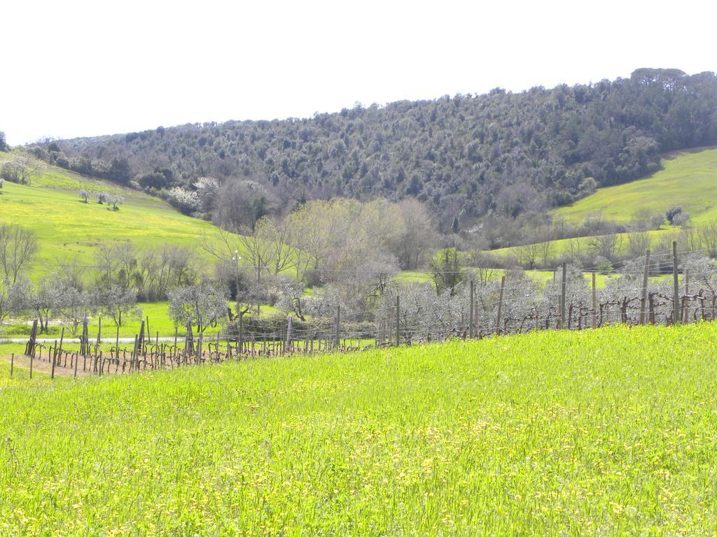 Agriristoro Podere S. Andrea มัสซามาริตติมา ภายนอก รูปภาพ