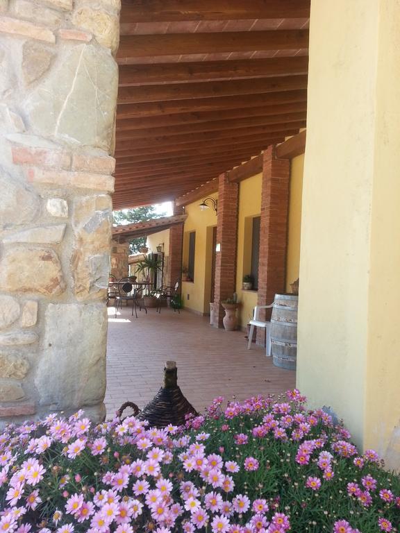 Agriristoro Podere S. Andrea มัสซามาริตติมา ภายนอก รูปภาพ