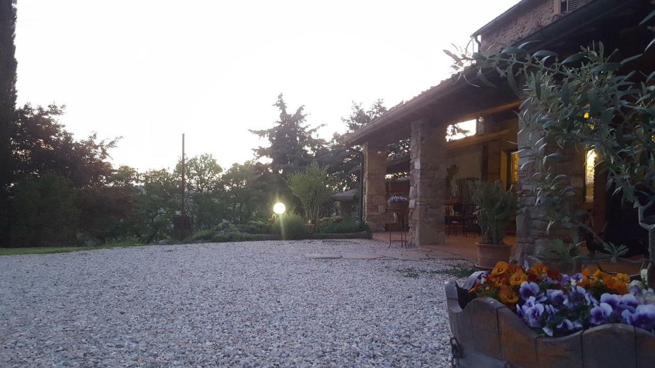 Agriristoro Podere S. Andrea มัสซามาริตติมา ภายนอก รูปภาพ