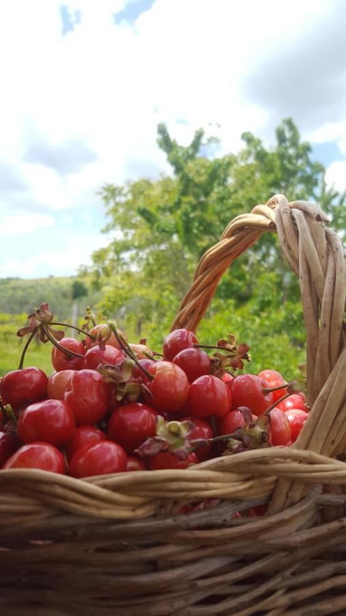 Agriristoro Podere S. Andrea มัสซามาริตติมา ภายนอก รูปภาพ